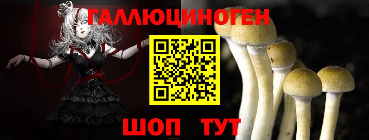 Верхний Уфалей  Псилоцибиновые грибы Psilocybe  Вход с VPN 
